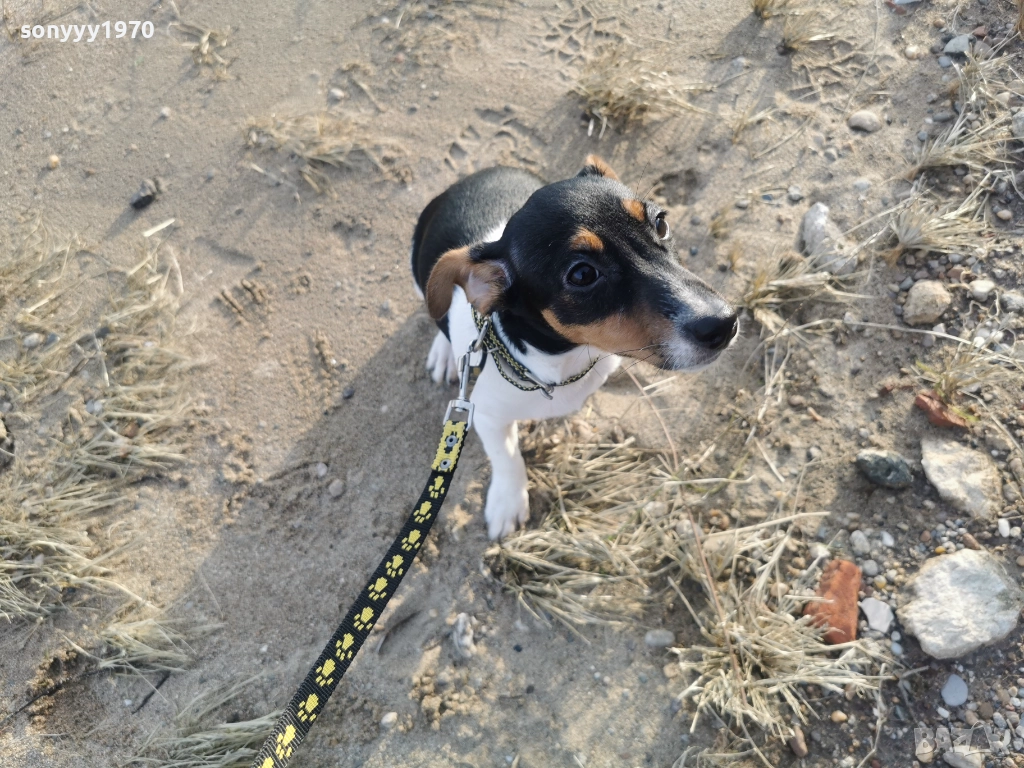 СЛАДКА КУКЛА ДЖАК 1012251449, снимка 1