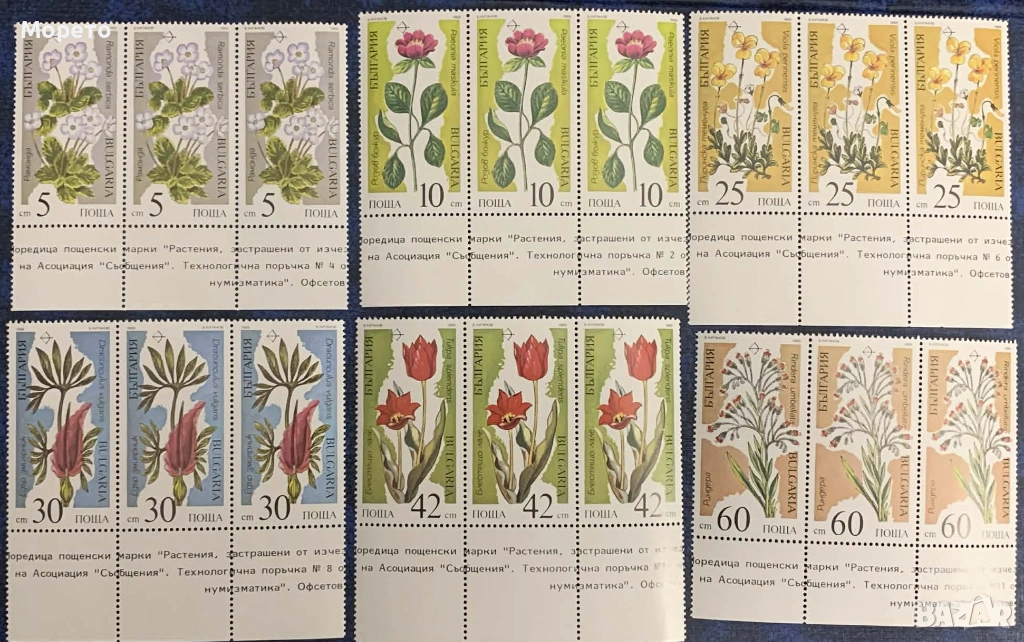 1989г-Растения,застрашени от изчезване(шисти шестици)-4 евро, снимка 1