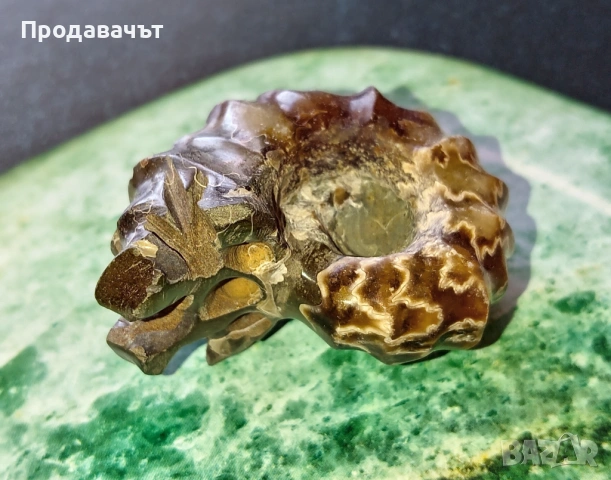 Амонит от Мадагаскар, снимка 3 - Декорация за дома - 53767979