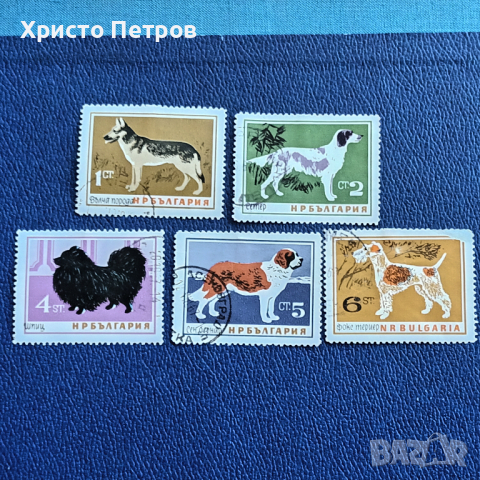 БЪЛГАРИЯ 1964 - ФАУНА, ПОРОДИ КУЧЕТА