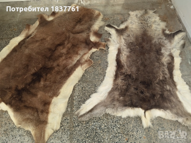 Естествени кожи големи , снимка 8 - Декорация за дома - 52177515