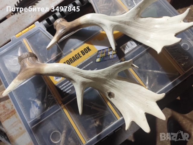 Изкуствени рога за декорация 