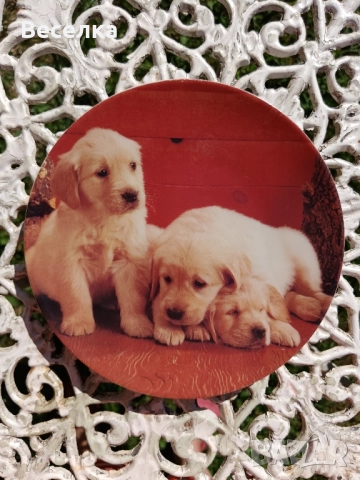 2 декоративни порцеланови чинии с кученца , снимка 4 - Антикварни и старинни предмети - 52424934