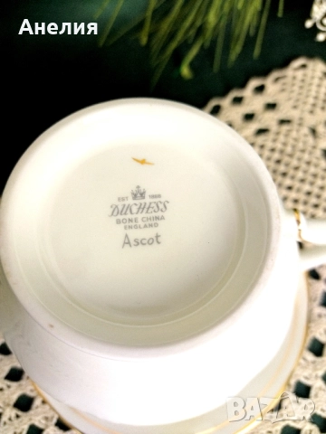 Бели със златен кант - красота Duchess Ascot, снимка 7 - Чаши - 52311240