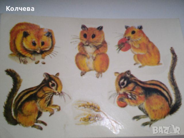 продавам лепенки за яйца, разтворими във вода, снимка 2 - Други - 40065477