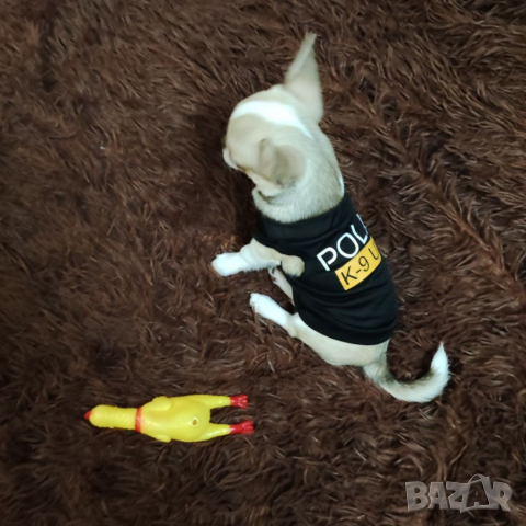 Играчка за куче Пиле. Играчки за кучета. Играчка за малко куче. Аксесоари за кучета. Кучешки играчки, снимка 8 - За кучета - 33838431