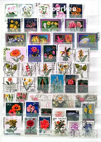 Пощенски марки цветя.130 бр.  К.1, снимка 2 - Филателия - 48874419