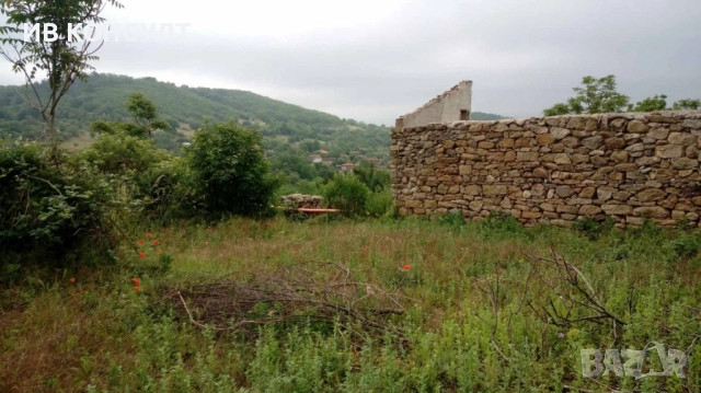 Продава парцел в село Пъстрово, снимка 6 - Парцели - 52414578
