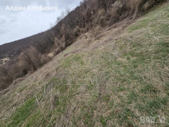 село Заселе Продавам голям парцел, снимка 5 - Парцели - 40489216