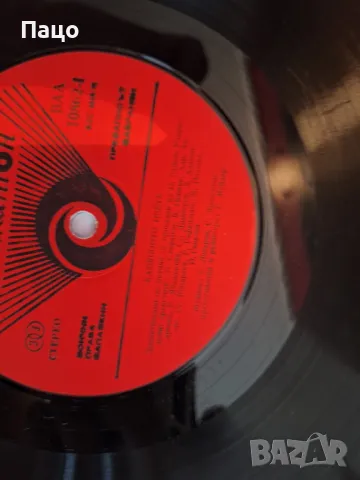 КАМЕННОТО ЦВЕТЕ, снимка 4 - Грамофонни плочи - 48960740