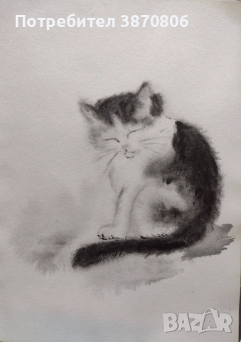 Спящо коте - акварел