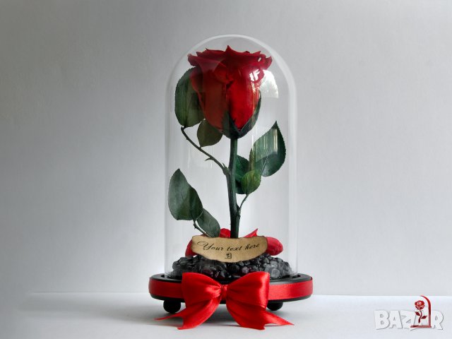 Романтичен Подарък за Жена / ЕСТЕСТВЕНА Вечна Роза в Стъкленица / Подарък за Годишнина от Сватбата, снимка 6 - Романтични подаръци - 34470495