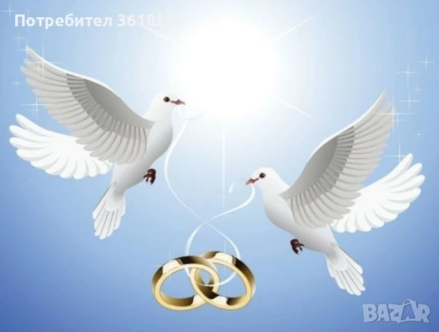 Бели гълъби за сватби и тържества Пловдив, Асеновград и региона 