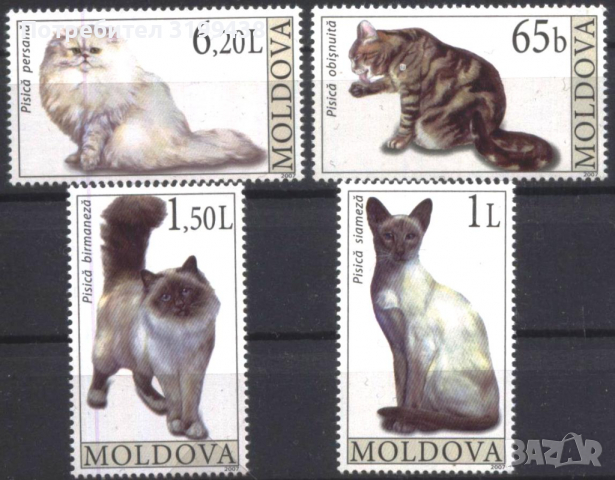 Чисти марки Фауна Котки 2007 от Молдова