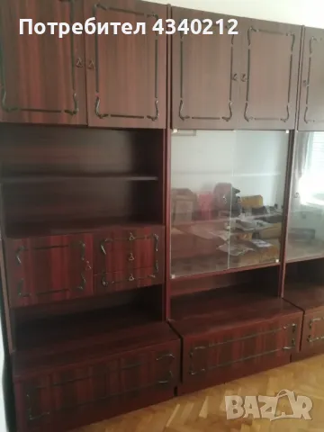 Секция холна , снимка 1