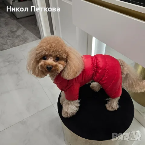 Зимен гащеризон Moncler