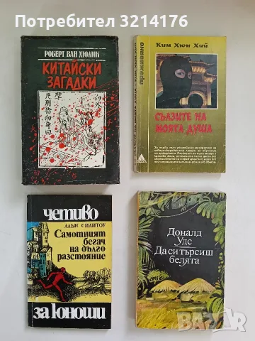 Китайски загадки - Робърт ван Хюлик