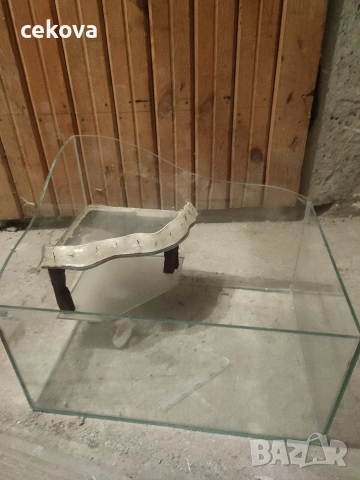 Аквариум, снимка 2 - Аквариуми - 53838443