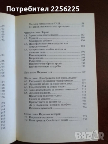 Децата на новото хилядолетие, снимка 9 - Художествена литература - 50844857
