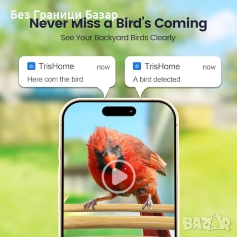 Нова Смарт хранилка за птици с камера, бамбук, AI, 2K, соларна, слънчева, снимка 4 - Други стоки за дома - 51108181