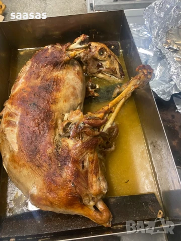 Печени агнета и прасета, снимка 5 - Други услуги - 51031087