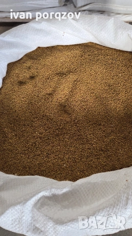 Семе люцерна по договаряне, снимка 2 - За селскостопански - 52432286