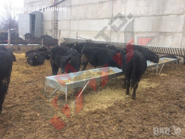 Хранилка за биволи, снимка 3 - За селскостопански - 34653702