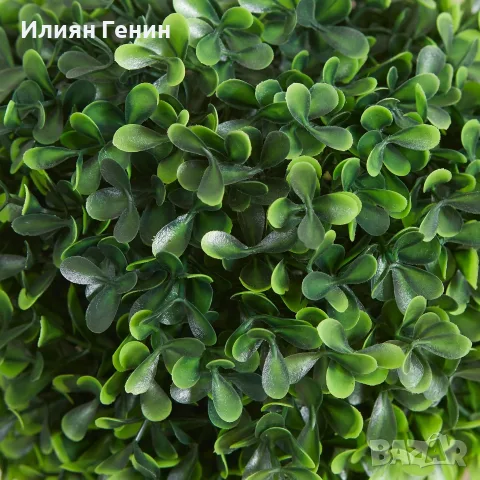 HOMCOM Комплект от 2 парчета изкуствен чемшир, снимка 10 - Изкуствени цветя - 56110076