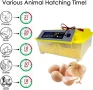 Автоматичен Инкобатор за яйца!, снимка 2