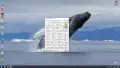 Видео карта NVidia GeForce Gigabyte GT610SL HDMI 1024MB GDDR3 64bit PCI-E , снимка 13