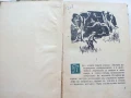 Матросът и петимата - Йордан Тодоров - 1962г., снимка 2