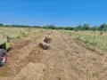 Бали сено и слама, снимка 2