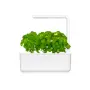 Smart Garden 3 - градина за дома в бяло, снимка 1