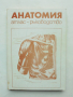 Книга Анатомия. Атлас-ръководство - Тодор Тодоров и др. 1991 г.