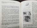 Съвремени насоки в обезболяването и реанимацията - изд.1969г., снимка 4