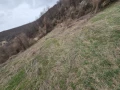 село Заселе Продавам голям парцел, снимка 5
