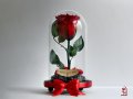 Романтичен Подарък за Жена / ЕСТЕСТВЕНА Вечна Роза в Стъкленица / Подарък за Годишнина от Сватбата, снимка 6