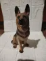 Статуетка Куче , снимка 8