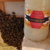 Продавам примамка за пчелни рояци "Ванков рой", снимка 1 - За пчели - 44202783