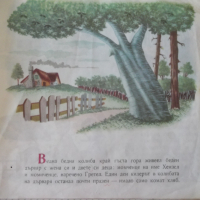 Книга "Хензел и Гретел - Братя Грим" - 16 стр. - 1, снимка 2 - Детски книжки - 36449512