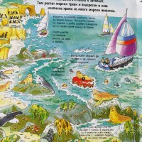 Океаните и моретата - детска енциклопедия, снимка 3 - Енциклопедии, справочници - 41817097