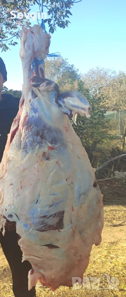 Prodavam meso, снимка 1