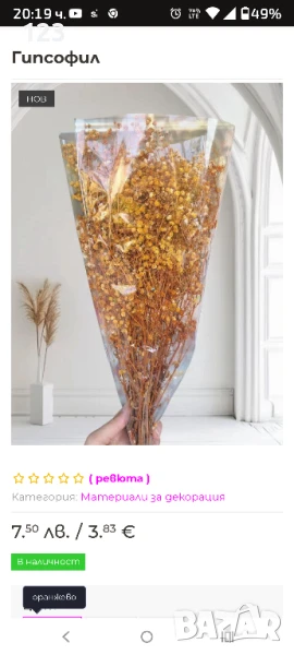 Гипсофил , снимка 1