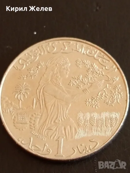 Стара монета 1 динар 1976г. Тунис за КОЛЕКЦИЯ ДЕКОРАЦИЯ 41162, снимка 1