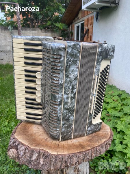 Акордеон, снимка 1