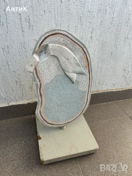 Соц Учебен Макет Модел Биология Учтехпром, снимка 1