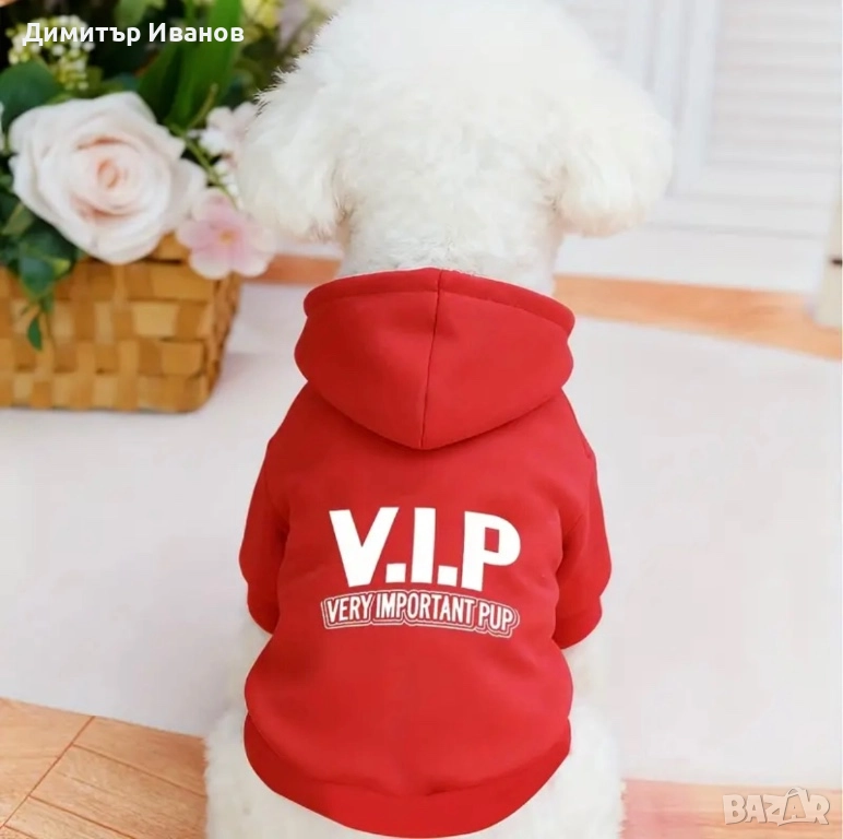 Модерни дрехи за кучета: Суичъри (Худита) с надписи, Пуловер (S, M), снимка 1