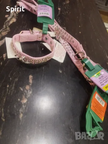 Каишка с камъни за мини и дребни породи кучета , снимка 3 - За кучета - 47809479