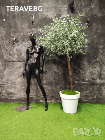 Изкуствени дървета и растения , снимка 9 - Изкуствени цветя - 48672514