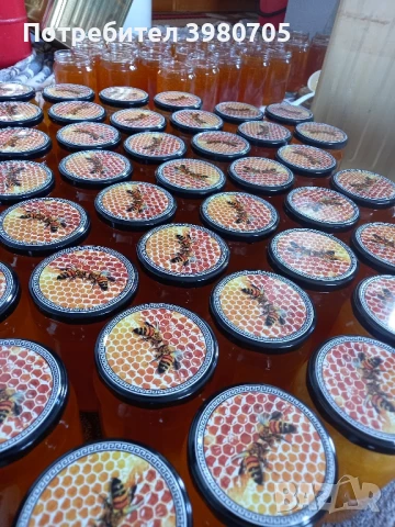 Чист натурален пчелен мед , снимка 6 - Пчелни продукти - 49351013